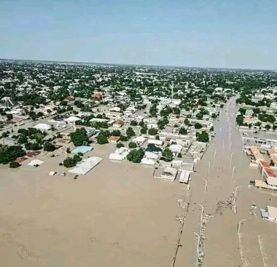 Mutum 259 ne suka mutu yayin da 625,239 suka rasa matsugunansu a ambaliyar ruwa a Nijeriya – NEMA
