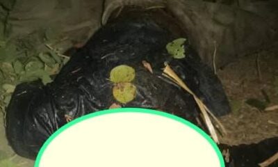 FB IMG 1741948974746