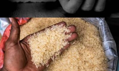 4ed52e68 4c33 4fbb 9c15 ef6a3e4635df