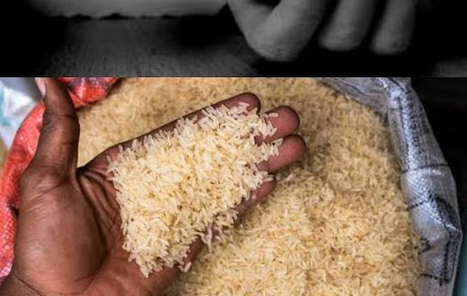 4ed52e68 4c33 4fbb 9c15 ef6a3e4635df