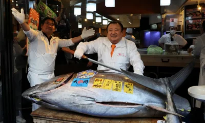 30b267629d1ec45ed28fbea2b07b32224397786cb7fd3b4bee8503ad517402f1