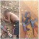 Picsart 26 01 24 18 02 18 355 scaled