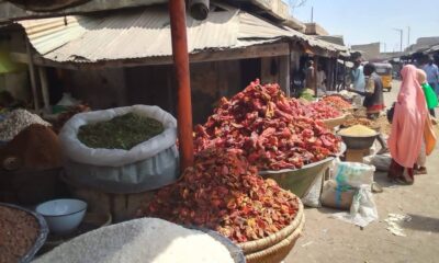 FB IMG 1770849624495