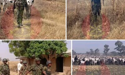 IMG 20260209 124321 487