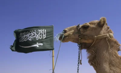 e7af4733 ae14 451e 9ce9 f47880c7c69d.jpg