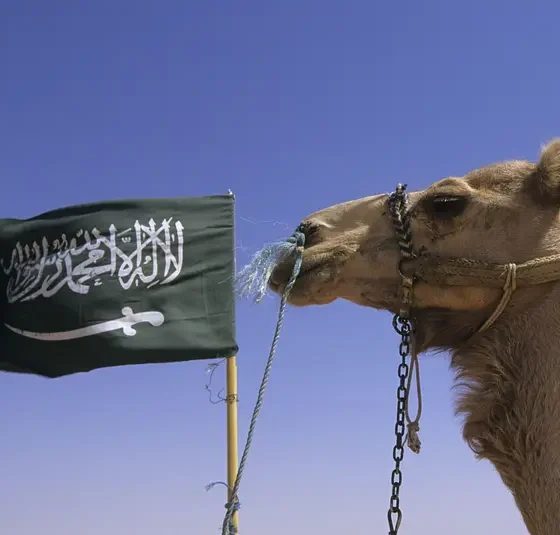 e7af4733 ae14 451e 9ce9 f47880c7c69d.jpg