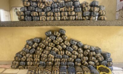 655997128 4343576645923177 2430566680323764567 n 750x536