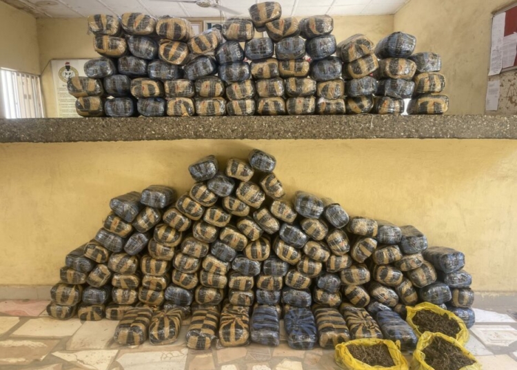 655997128 4343576645923177 2430566680323764567 n 750x536