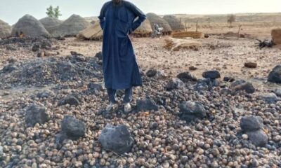 IMG 20260419 234036 929