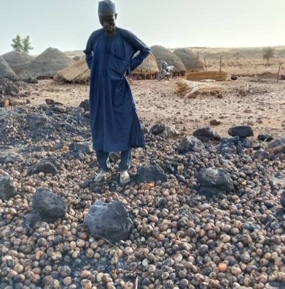 IMG 20260419 234036 929