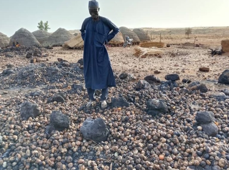 IMG 20260419 234036 929