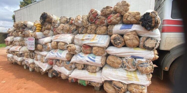 Picture of skunk seized by NDLEA 750x375