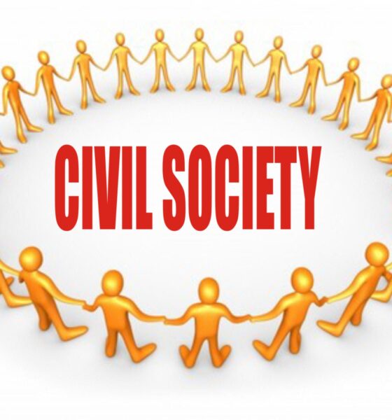 Civil Society Organisation CSO (2)