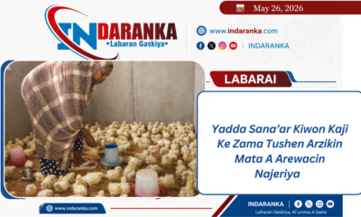 INDARANKA INFOGRAPHY 20260526 002534 0000