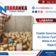 INDARANKA INFOGRAPHY 20260526 002534 0000