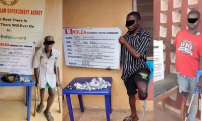 NDLEA PwDs