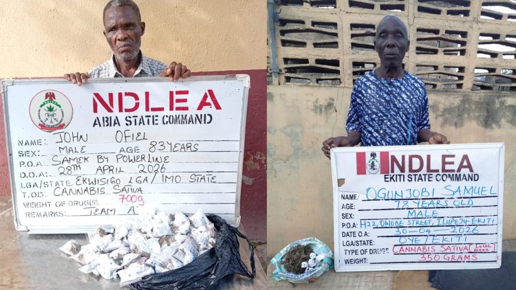 The suspects NDLEA 1 (1)