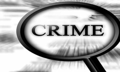 crime control 768x432